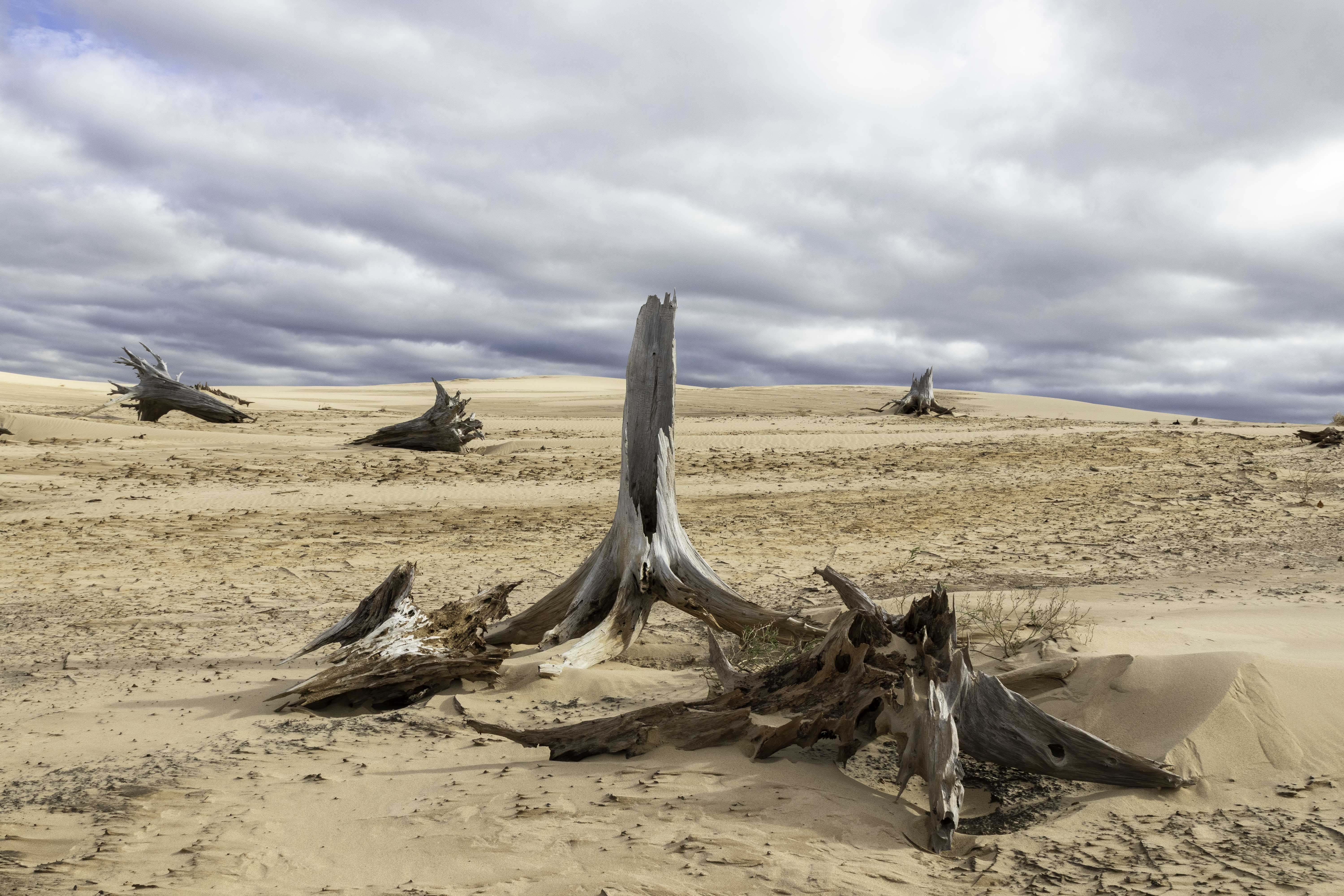 The Dunes at Silver Lake State Park – Photography by Rodney Martin