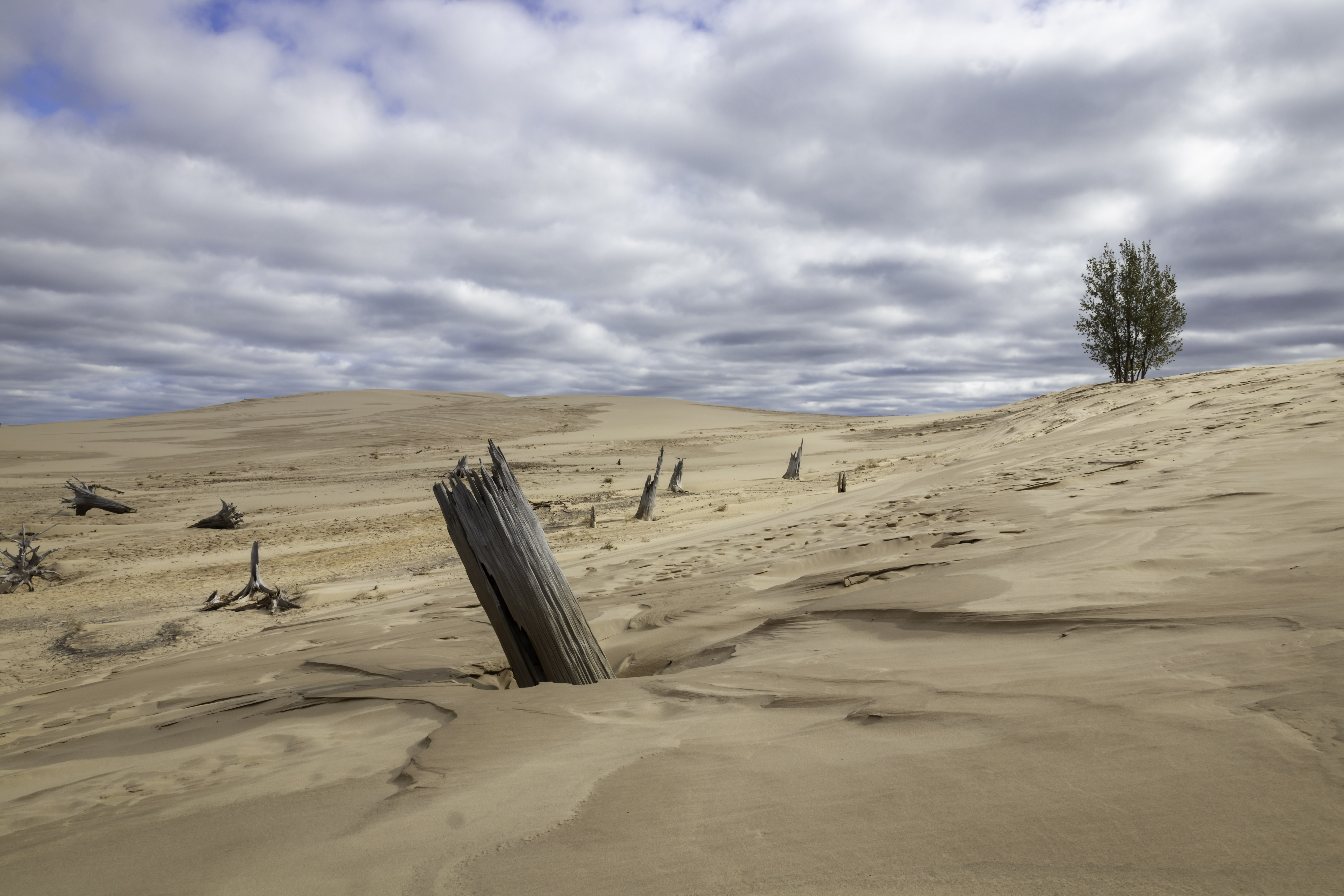 The Dunes at Silver Lake State Park – Photography by Rodney Martin