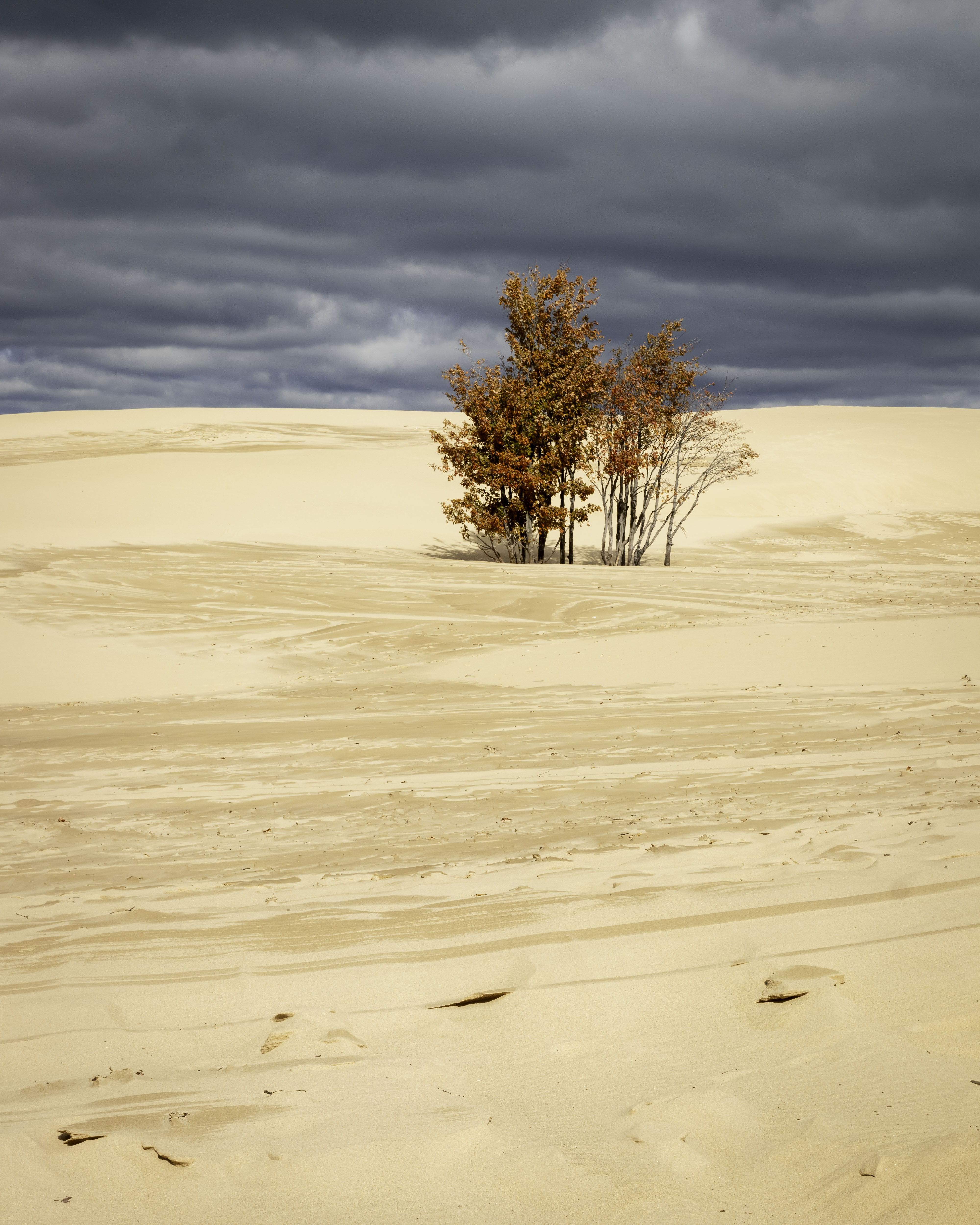 The Dunes at Silver Lake State Park – Photography by Rodney Martin